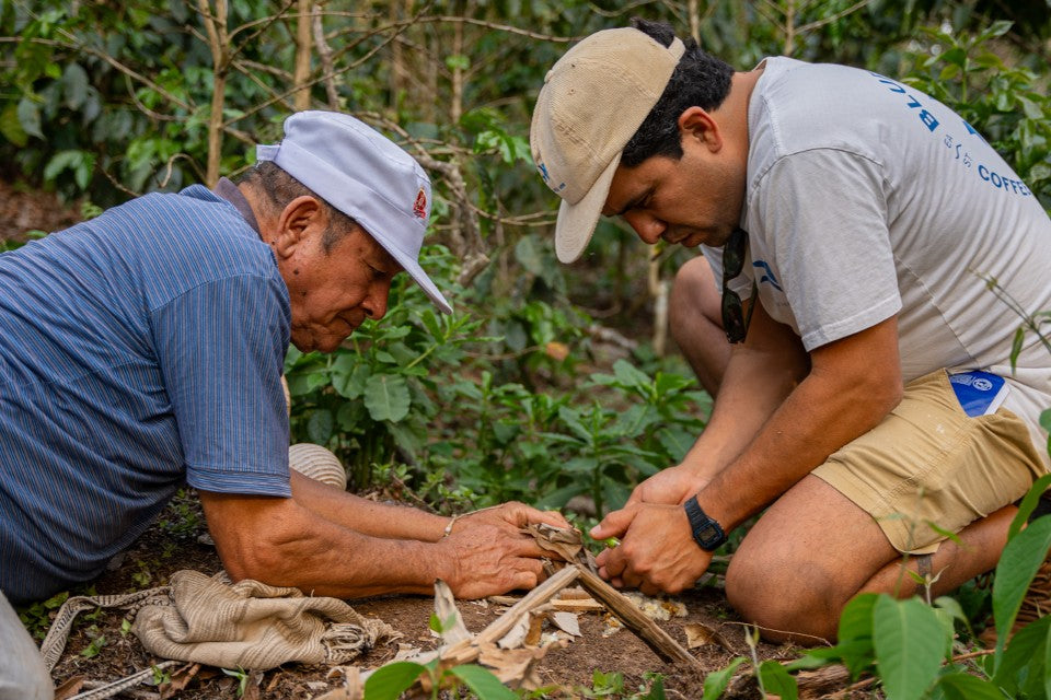 Benjamin la Torre Coffee Farm: Where Excellence Grows