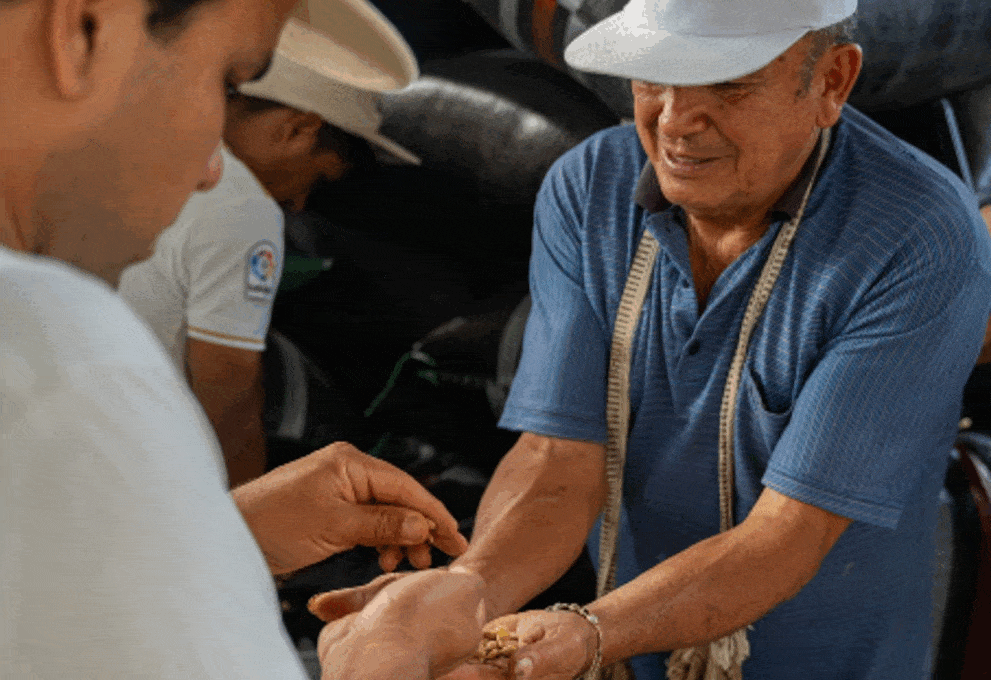 Discover Blue Arrow Coffee Fermented Bean Combinations Grown in Peru
